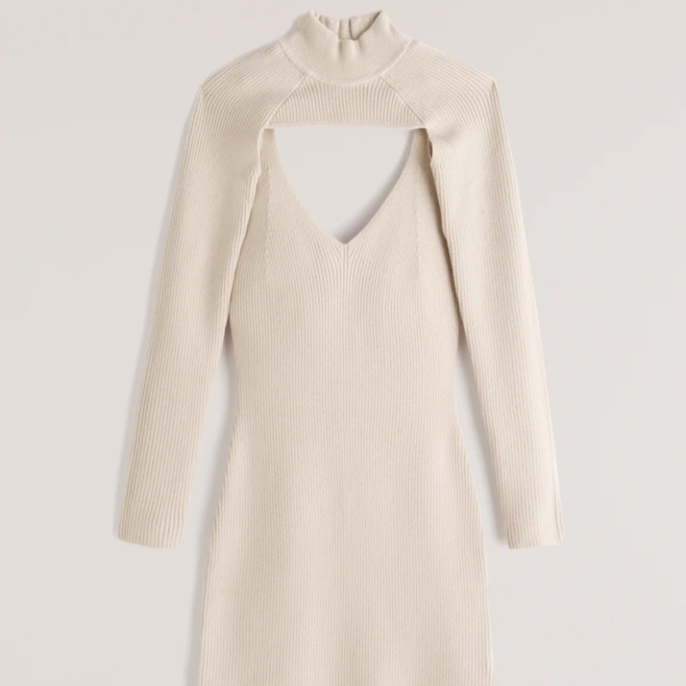 Mini Sweater Dress and Mockneck Shrug Set (only selling the dress)